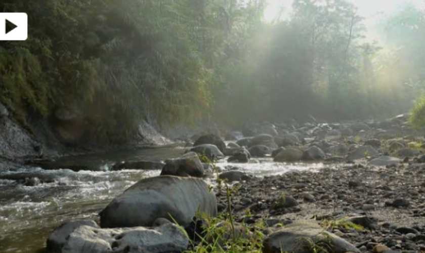 Bình minh bên bờ suối