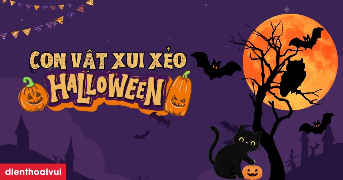 Con vật nào thường được liên tưởng đến sự xui xẻo trong Halloween?